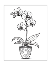 Load image into Gallery viewer, Botanical Coloring Book for Adults and Kids, Printed Physical Book, 25 Bold Easy Plant Designs, Single Sided Nature Art Therapy Gift
