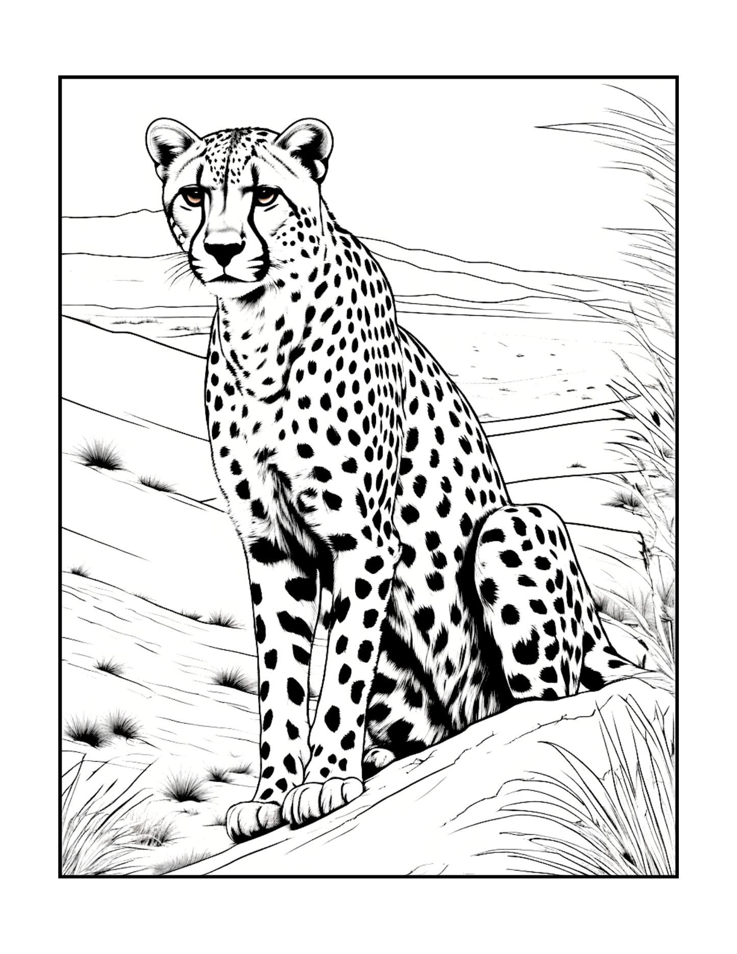 Cool Cheetah Coloring Book Gift for Adults Kids Boys Girls Teens Youth 50 Pages Single Sided Relaxation Wildlife Safari Zoo Animal Coloring