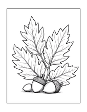 Load image into Gallery viewer, Botanical Coloring Book for Adults and Kids, Printed Physical Book, 25 Bold Easy Plant Designs, Single Sided Nature Art Therapy Gift

