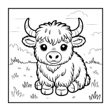 Load image into Gallery viewer, Highland Cow Coloring Book Gift for Adults Kids Boys Girls Teens: Single Sided Pages 25 Designs Cozy Cow Coloring Book for Children
