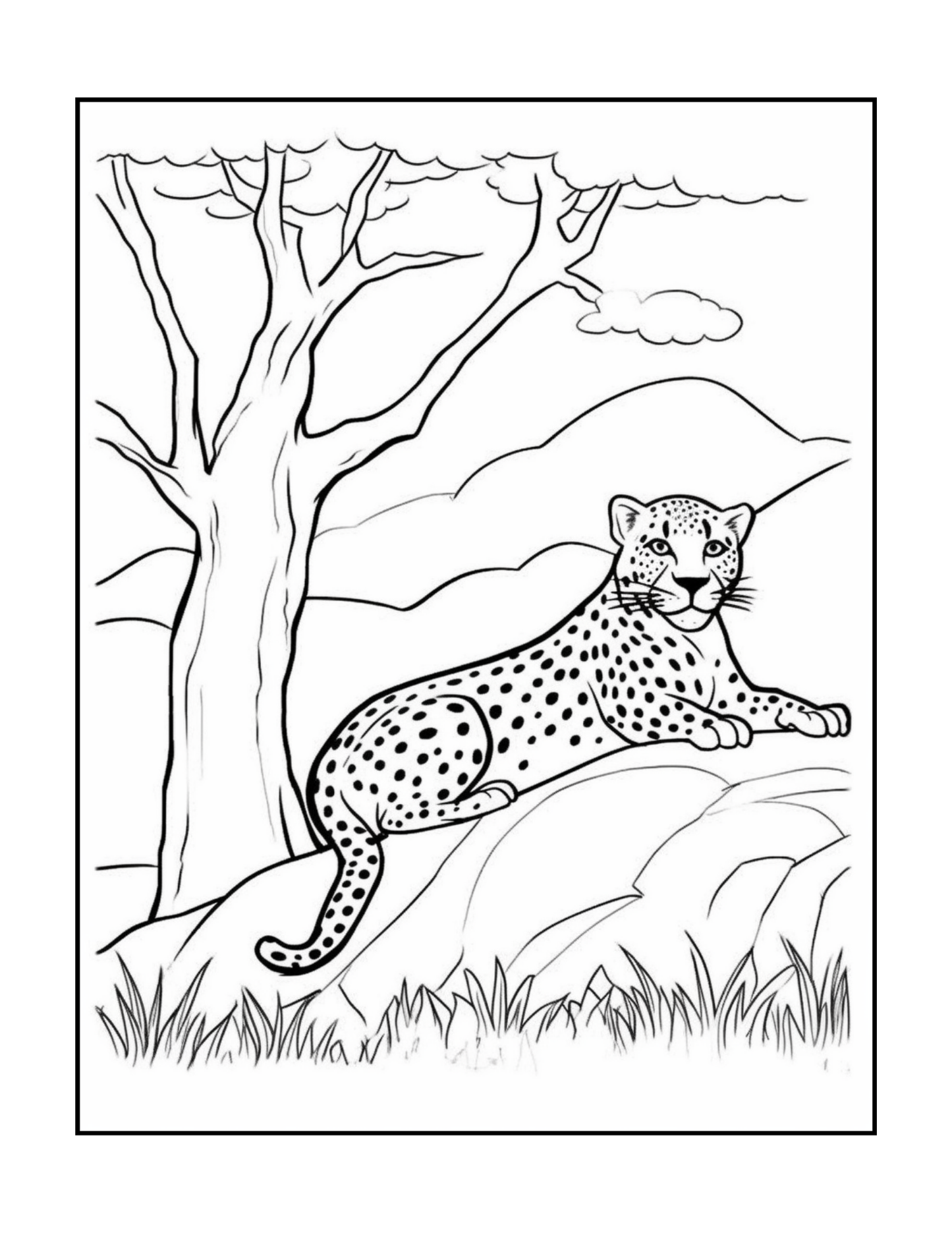 Cool Cheetah Coloring Book Gift for Adults Kids Boys Girls Teens Youth 50 Pages Single Sided Relaxation Wildlife Safari Zoo Animal Coloring