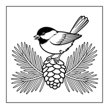 Load image into Gallery viewer, Cute Birds Flowers Coloring Book for Adults Kids Easy Nature Pages for Relaxation and Stress Relief
