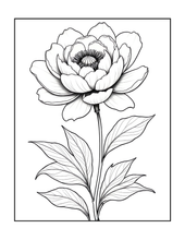 Load image into Gallery viewer, Botanical Coloring Book for Adults and Kids, Printed Physical Book, 25 Bold Easy Plant Designs, Single Sided Nature Art Therapy Gift
