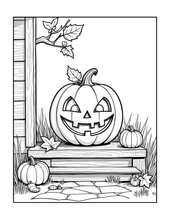 Load image into Gallery viewer, Halloween Coloring Book for Adults Kids, Printed Physical Book, 25 Bold Easy Spooky Designs, Single-Sided Pages, Perfect Halloween Gift
