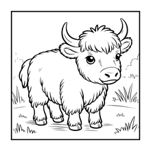 Load image into Gallery viewer, Highland Cow Coloring Book Gift for Adults Kids Boys Girls Teens: Single Sided Pages 25 Designs Cozy Cow Coloring Book for Children
