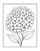 Load image into Gallery viewer, Botanical Coloring Book for Adults and Kids, Printed Physical Book, 25 Bold Easy Plant Designs, Single Sided Nature Art Therapy Gift
