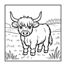 Load image into Gallery viewer, Highland Cow Coloring Book Gift for Adults Kids Boys Girls Teens: Single Sided Pages 25 Designs Cozy Cow Coloring Book for Children
