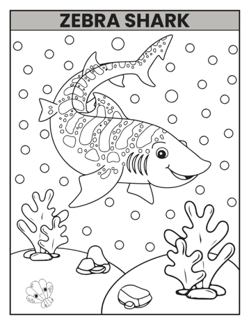 50 Pages Easy Ocean Animals Sea Life Fish Coloring Pages Cute Deep Sea Creatures Fish Coloring Book Gift for Adults Kids Boys Girls Teens