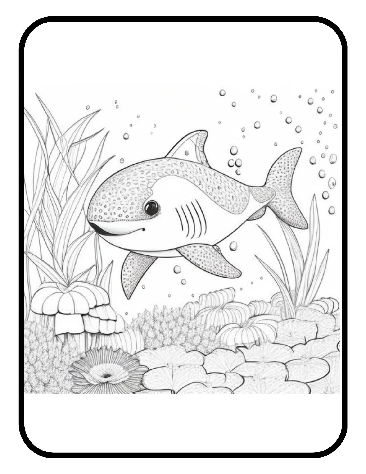 Ocean Coloring Book: An Adult Coloring Book Featuring Relaxing Ocean  Scenes, Cute Tropical Fish, Creatures and Underwater Scenes (Coloring  (Paperback)
