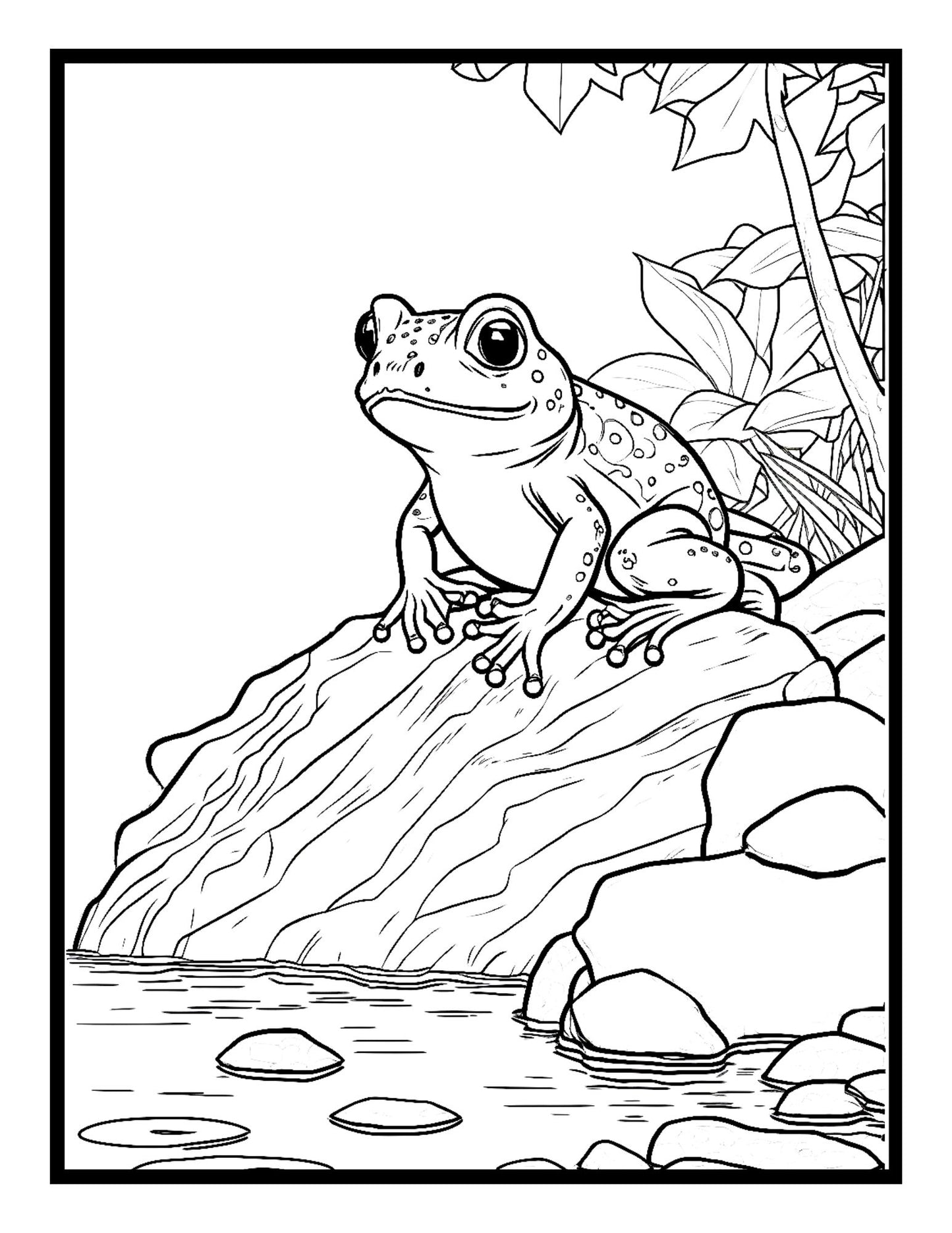 Cute Toad Coloring Book Frog Coloring Book For Adult And Kids Animal Habitat Coloring Jungle Animal Coloring Wild Life Animal Coloring Book